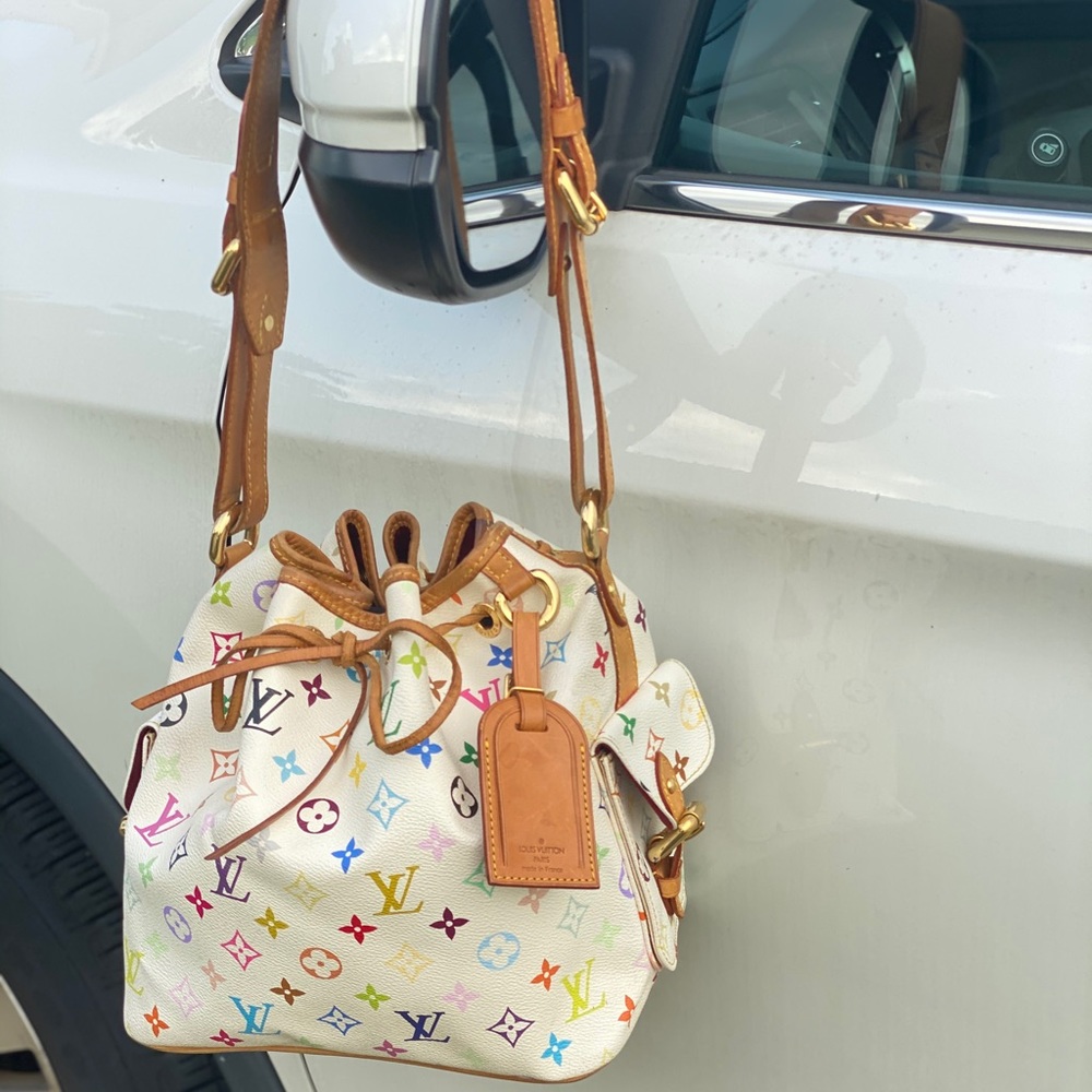 Louis Vuitton Muliticolor Petit Noe Bag
